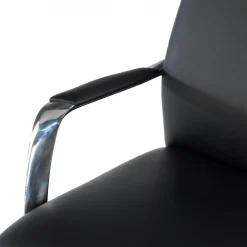 Poltrona direzionale Prestige, pelle naturale