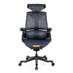 Sedia da Gaming Ergonomica BloodDragon