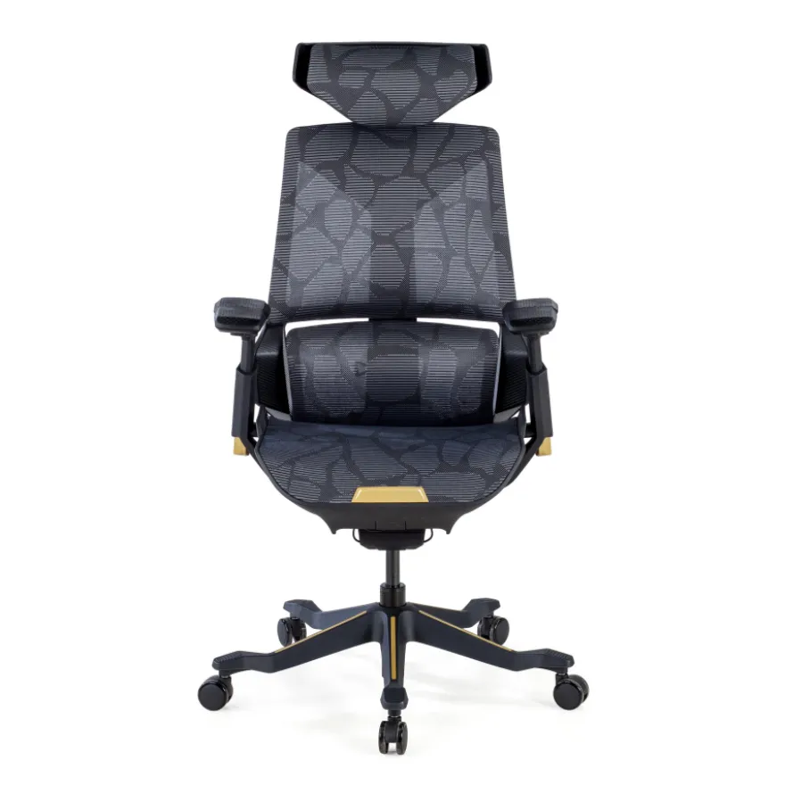 Sedia da Gaming Ergonomica BloodDragon