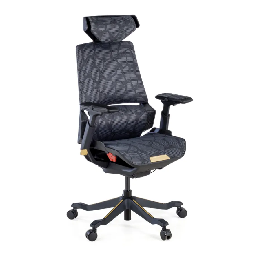 Sedia da Gaming Ergonomica BloodDragon