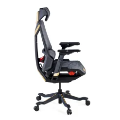 Sedia da Gaming Ergonomica BloodDragon