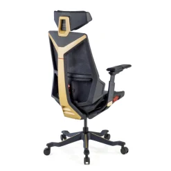 Sedia da Gaming Ergonomica BloodDragon