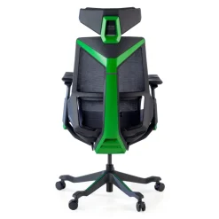 Sedia da Gaming Ergonomica BloodDragon