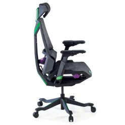 Sedia da Gaming Ergonomica BloodDragon