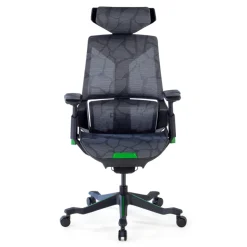 Sedia da Gaming Ergonomica BloodDragon