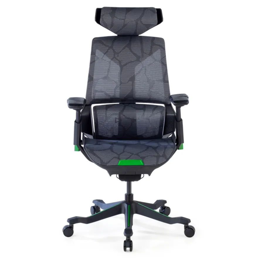 Sedia da Gaming Ergonomica BloodDragon