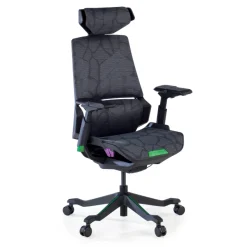 Sedia da Gaming Ergonomica BloodDragon