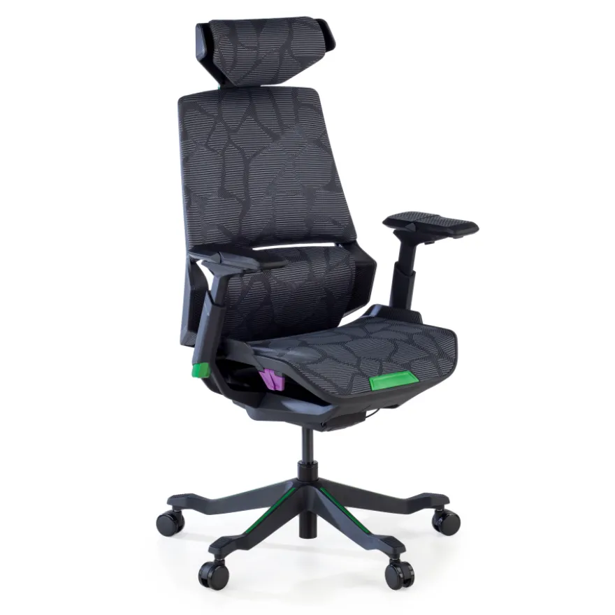 Sedia da Gaming Ergonomica BloodDragon