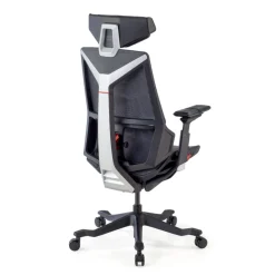 Sedia da Gaming Ergonomica BloodDragon
