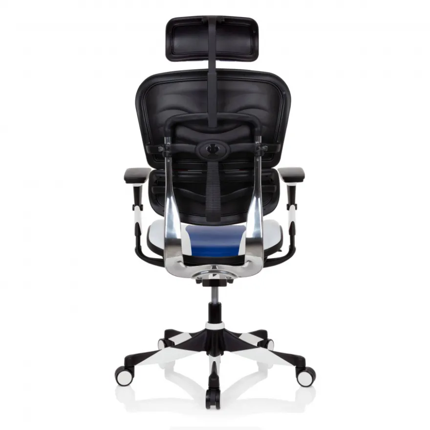 Sedia da Gaming Professionale Ergohuman, 100% regolabile