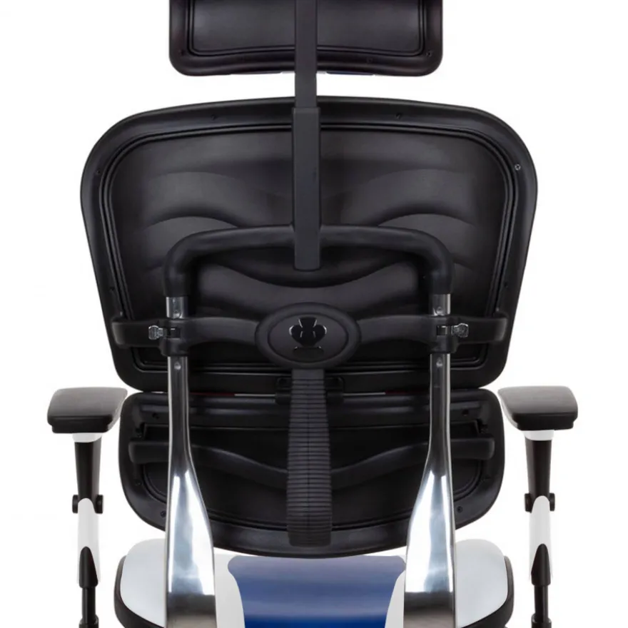 Sedia da Gaming Professionale Ergohuman, 100% regolabile