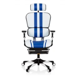 Sedia da Gaming Professionale Ergohuman, 100% regolabile