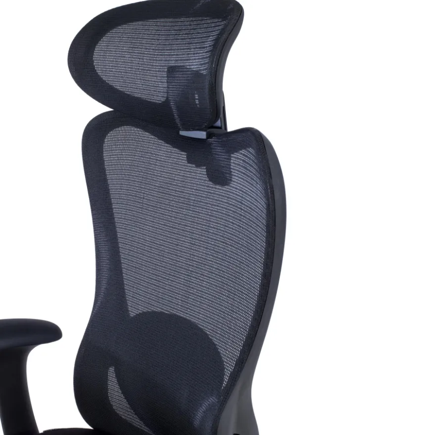 Sedia da Scrivania Vital, poggiatesta, supporto lombare