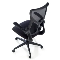 Sedia da studio Raptor, braccioli pieghevoli, schienale ergonomico