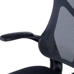Sedia da studio Raptor, braccioli pieghevoli, schienale ergonomico