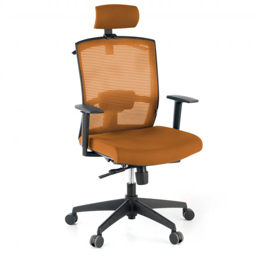 Sedia da ufficio ergonomica Akira con poggiatesta