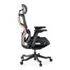 Sedia da ufficio ergonomica AeroMax con doppio supporto lombare