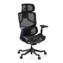 Sedia da ufficio ergonomica AeroMax con doppio supporto lombare