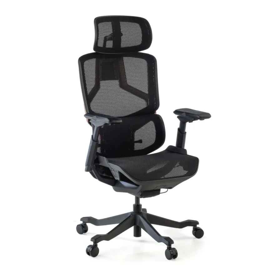 Sedia da ufficio ergonomica AeroMax con doppio supporto lombare
