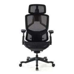 Sedia da ufficio ergonomica AeroMax con doppio supporto lombare