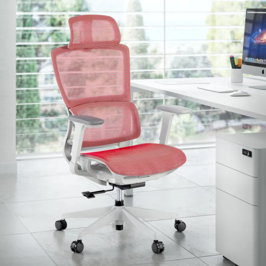 Sedia da Ufficio Ergonomica Balance Pro White, Braccioli 3D
