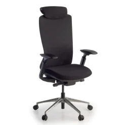 Sedia da ufficio ergonomica Gemini, braccioli 4D e supporto lombare