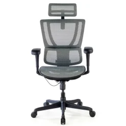 Sedia da ufficio ergonomica IOO