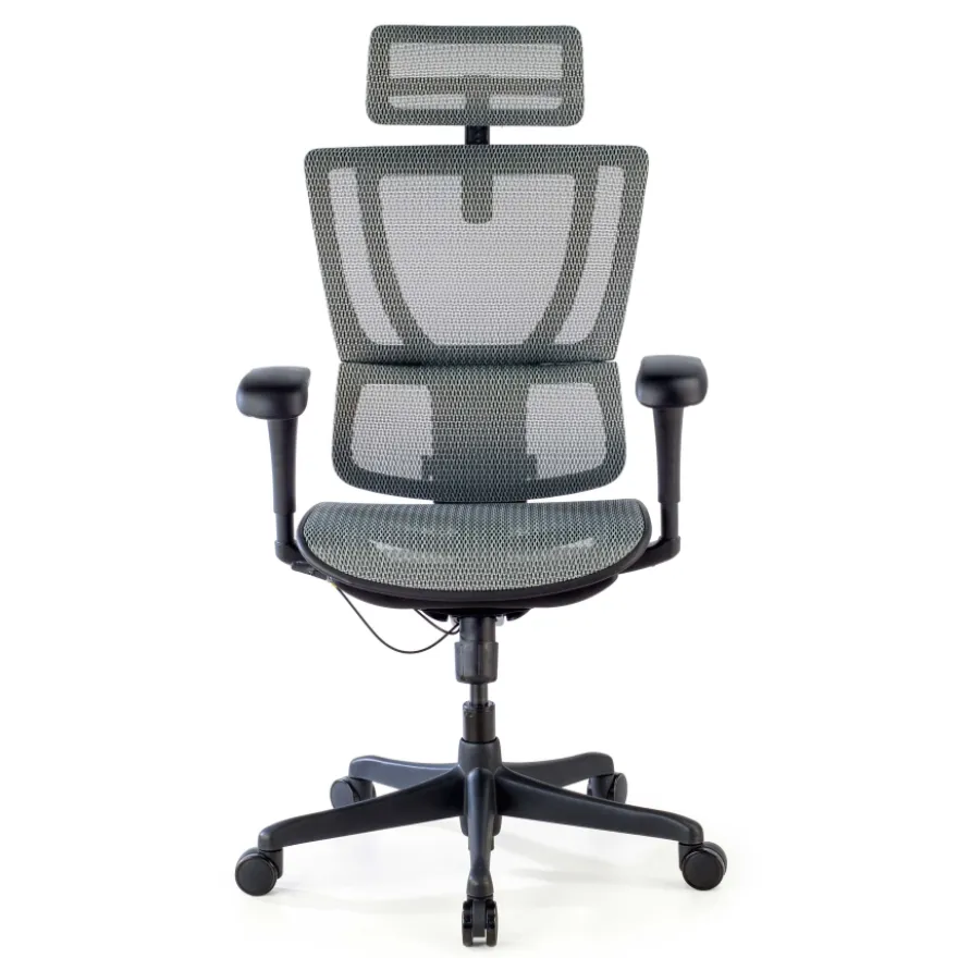 Sedia da ufficio ergonomica IOO