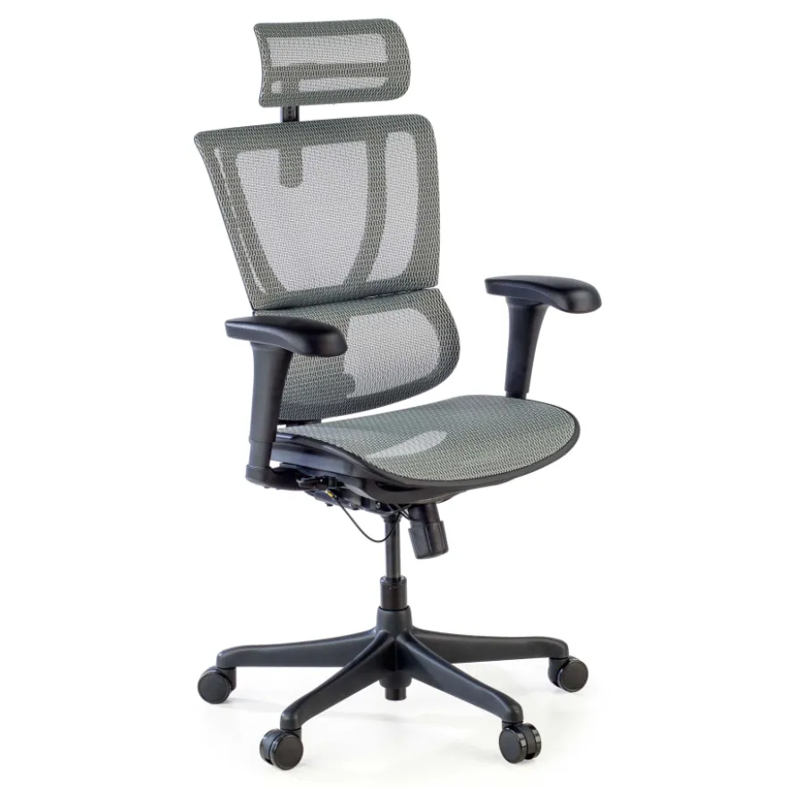 Sedia da ufficio ergonomica IOO