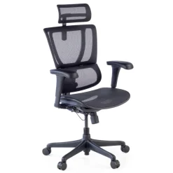 Sedia da ufficio ergonomica IOO