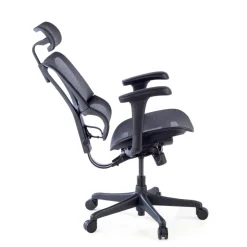 Sedia da ufficio ergonomica IOO