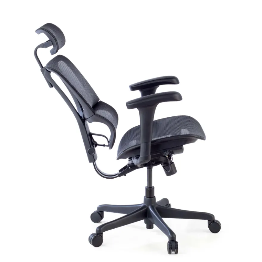 Sedia da ufficio ergonomica IOO