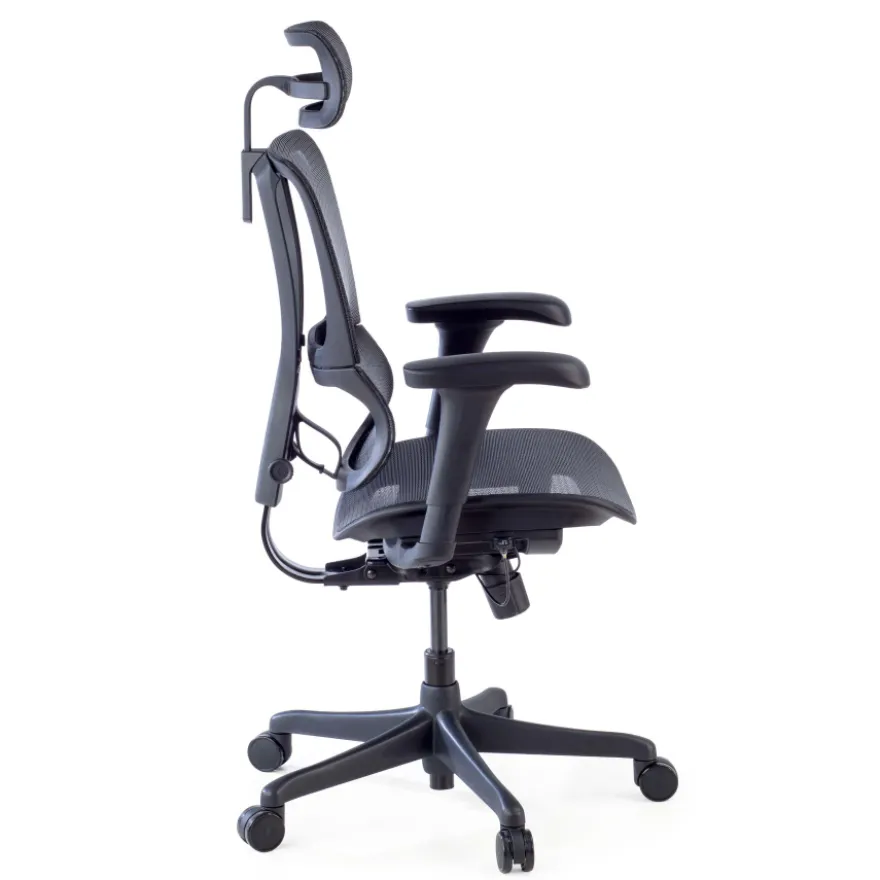 Sedia da ufficio ergonomica IOO