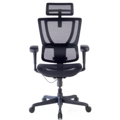 Sedia da ufficio ergonomica IOO