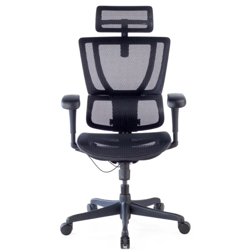 Sedia da ufficio ergonomica IOO