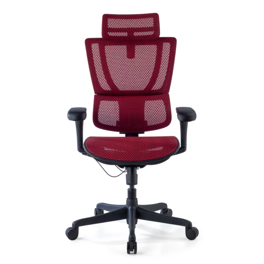 Sedia da ufficio ergonomica IOO