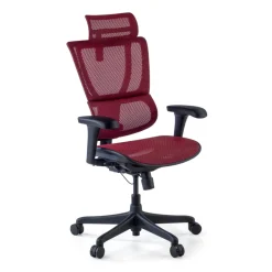 Sedia da ufficio ergonomica IOO