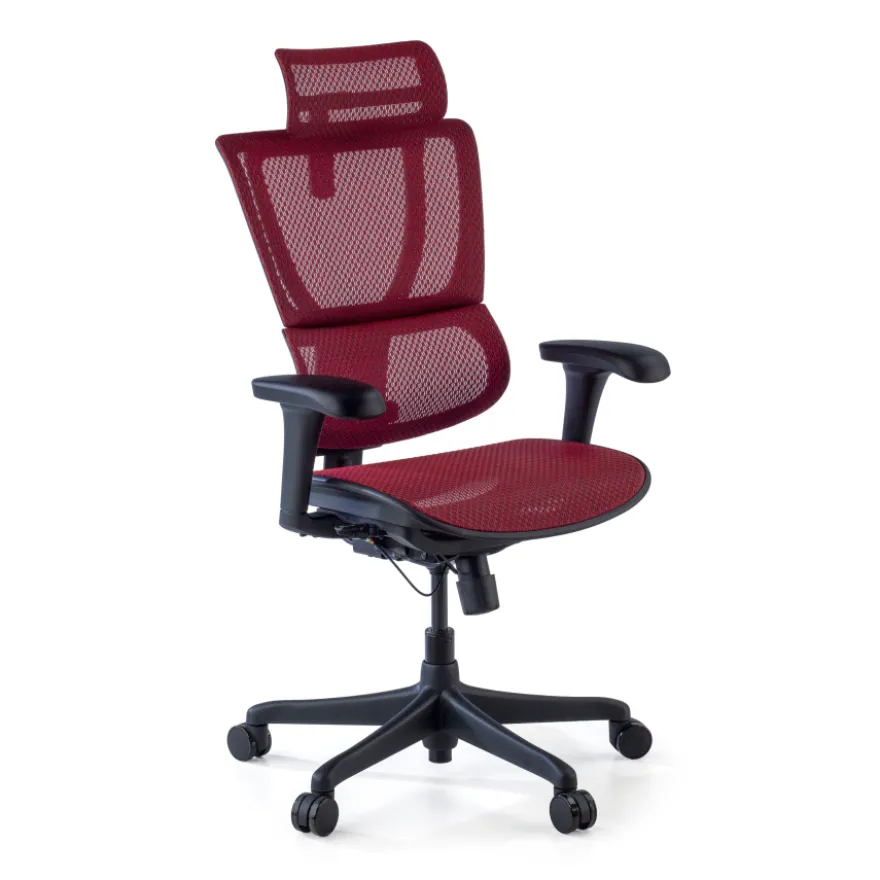 Sedia da ufficio ergonomica IOO