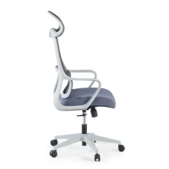 Sedia da Ufficio Ergonomica Nebula, cuscino lombare