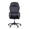 Sedia da Ufficio Ergonomica Nebula, cuscino lombare