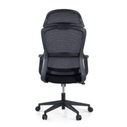 Sedia da Ufficio Ergonomica Nebula, cuscino lombare