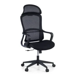 Sedia da Ufficio Ergonomica Nebula, cuscino lombare
