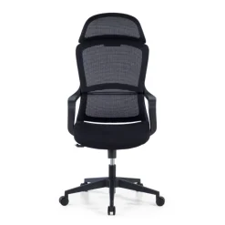 Sedia da Ufficio Ergonomica Nebula, cuscino lombare