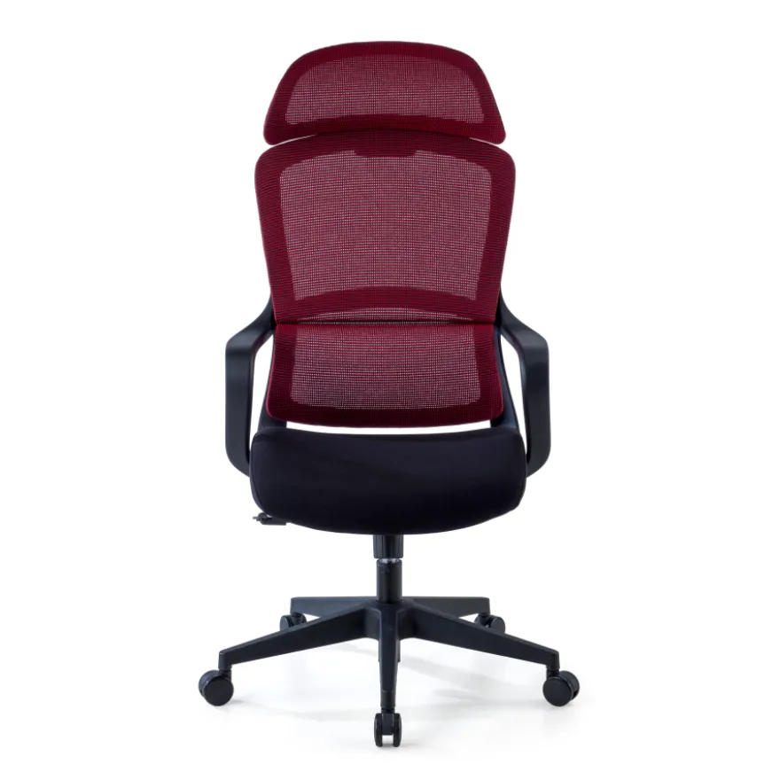 Sedia da Ufficio Ergonomica Nebula, cuscino lombare