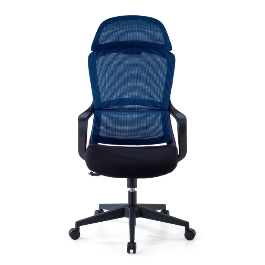 Sedia da Ufficio Ergonomica Nebula, cuscino lombare