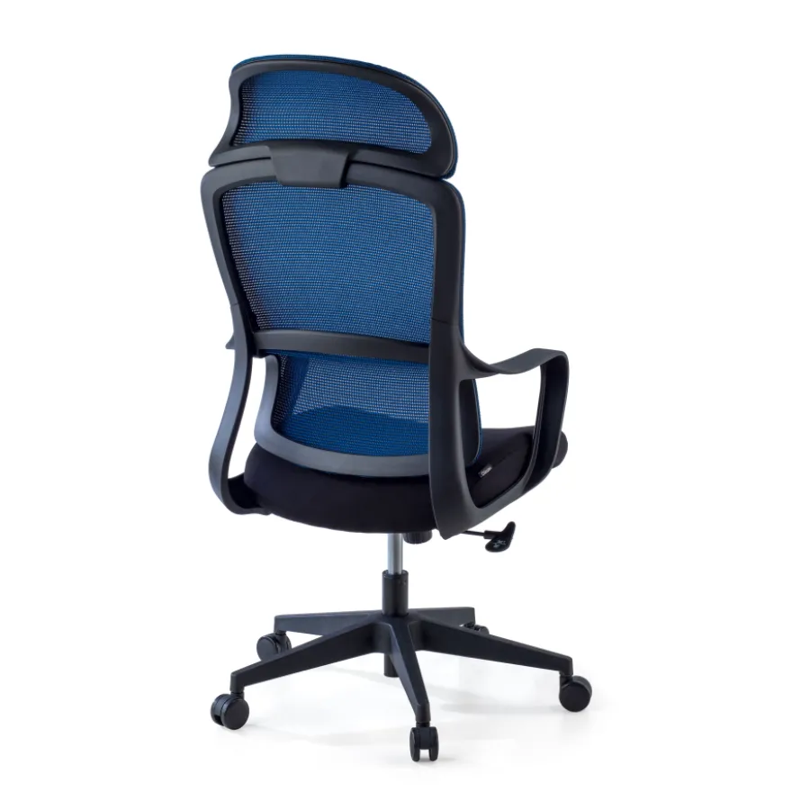 Sedia da Ufficio Ergonomica Nebula, cuscino lombare