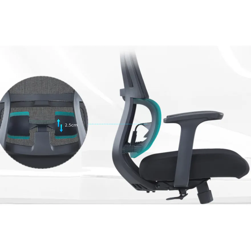 Sedia da Ufficio Ergonomica Orbit con Supporto Lombare, Seduta Imbottita