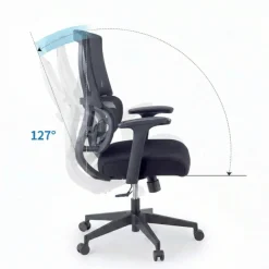 Sedia da Ufficio Ergonomica Orbit con Supporto Lombare, Seduta Imbottita