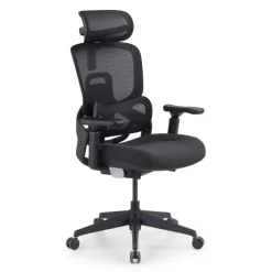 Sedia da ufficio ergonomica ortopedica Zen con poggiatesta