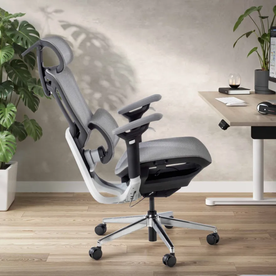 Sedia da Ufficio Ergonomica Valkyr, schienale auto-adattabile